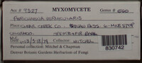 Image Associated With the Occurence